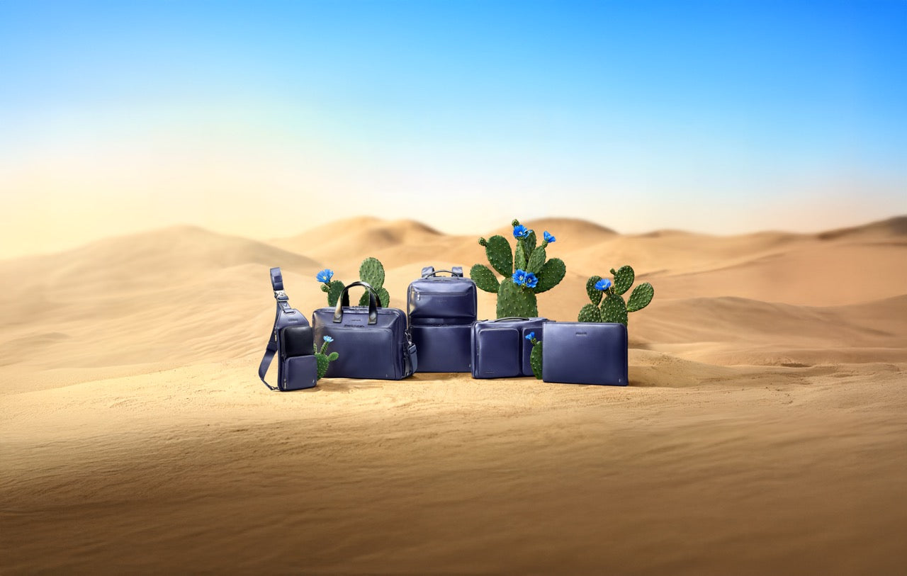 Desert Bloom